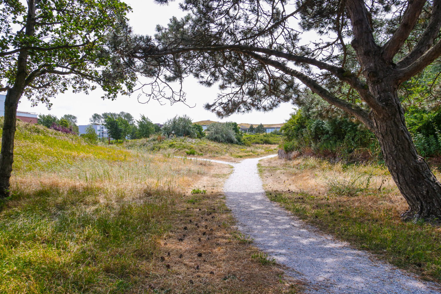 46_Duinbrink buiten (6)