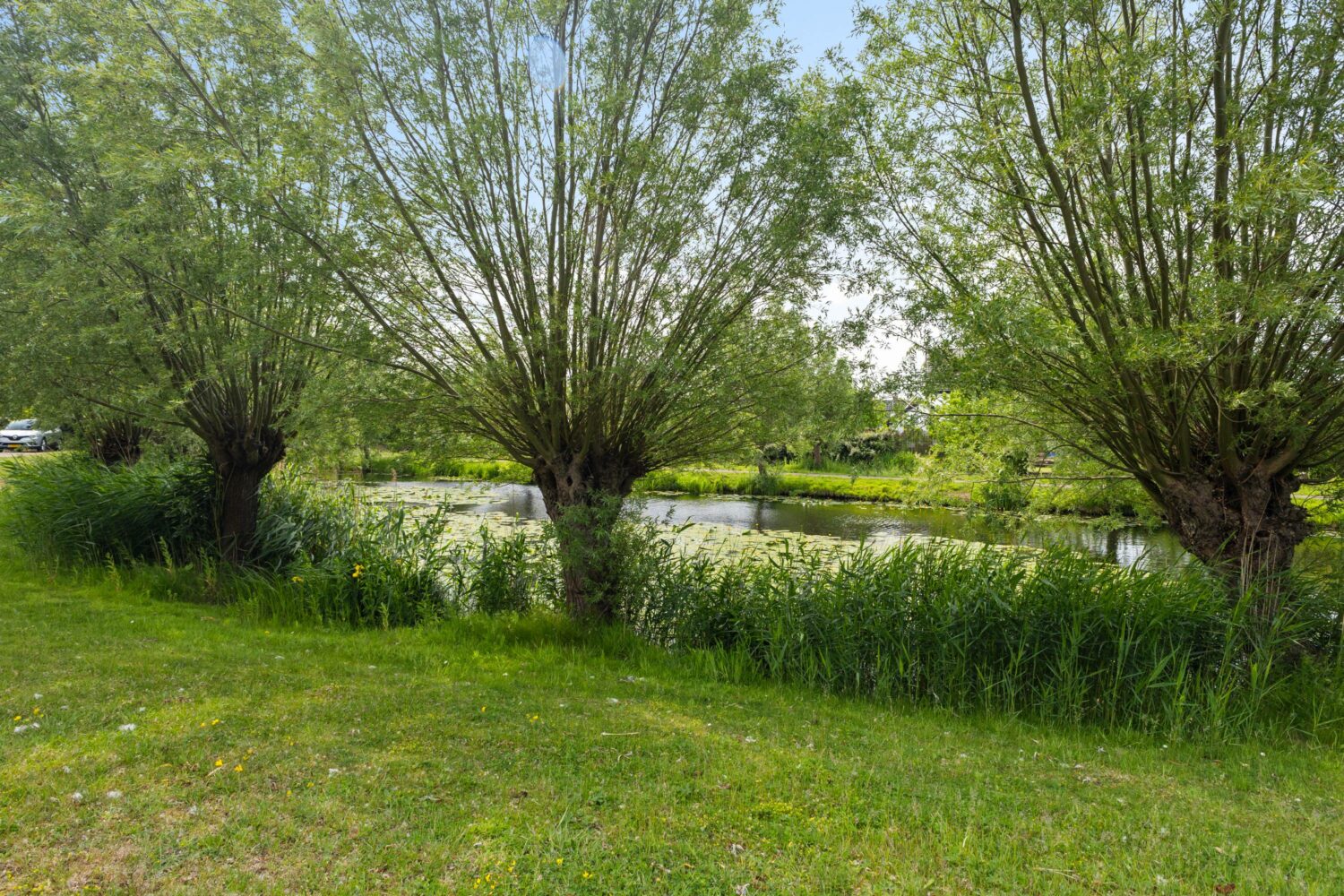 29_Wierbalg 2807 (29)