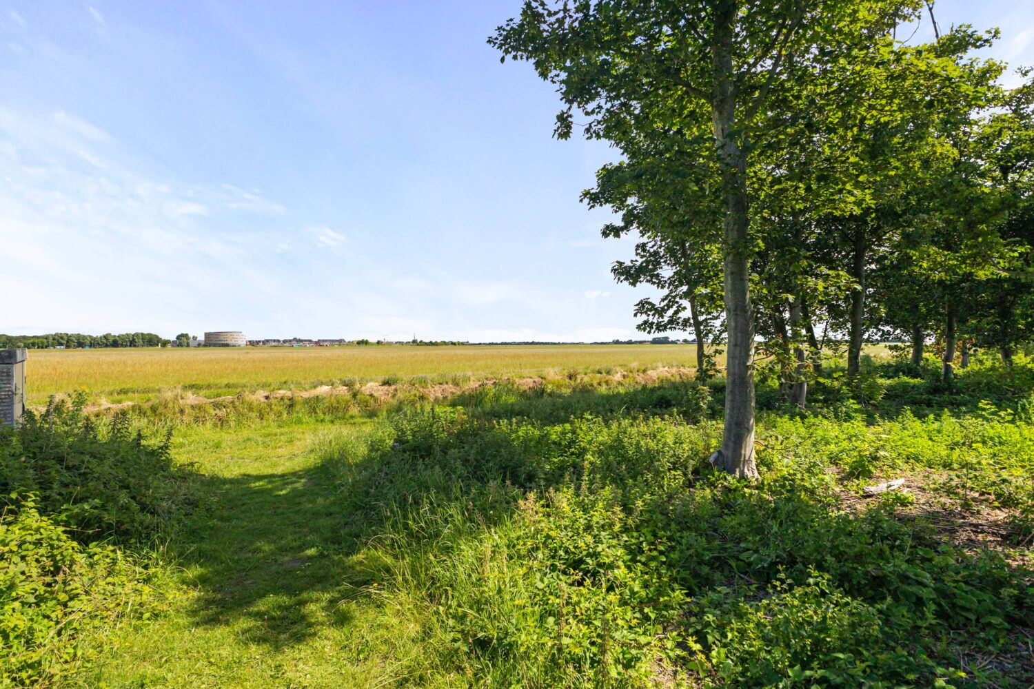 33_Notenhout 25B (33)