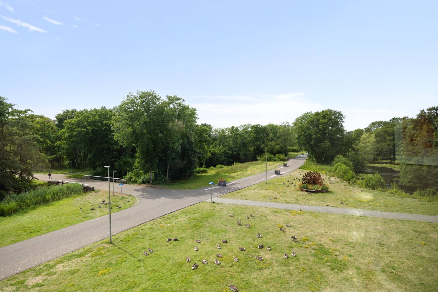 27_Eikenhout 333 (8)