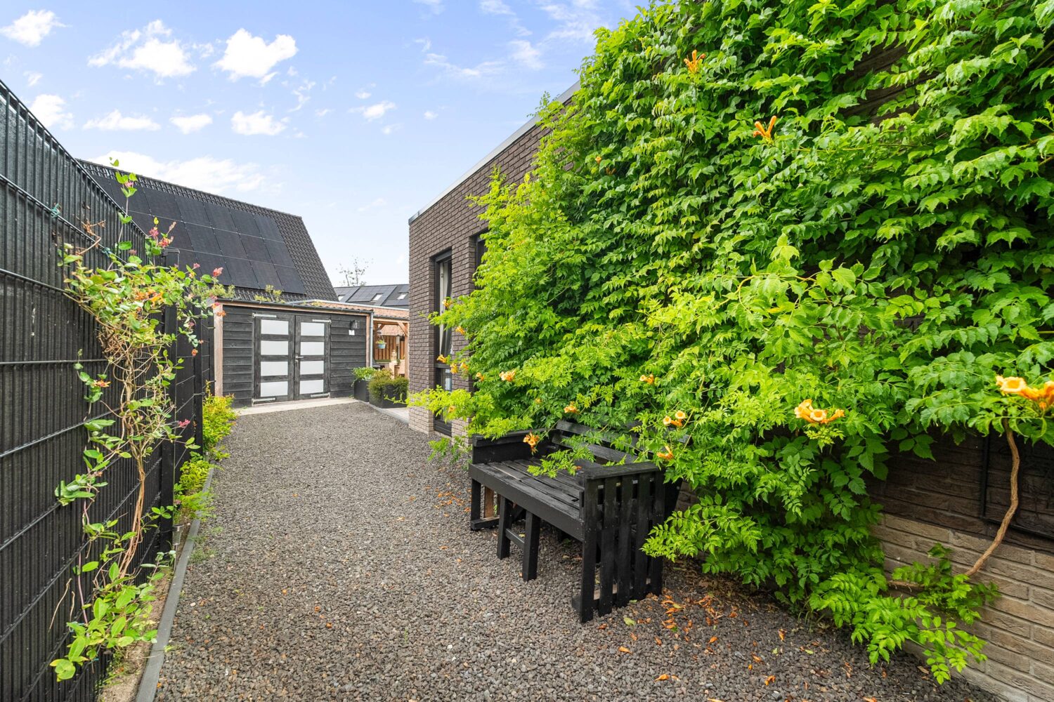 29_Kastanjehout 1 34