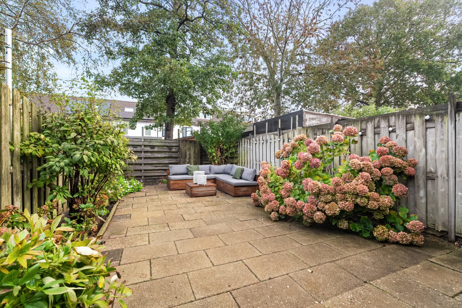 18_Kruiszwin 5223 (27) - kopie