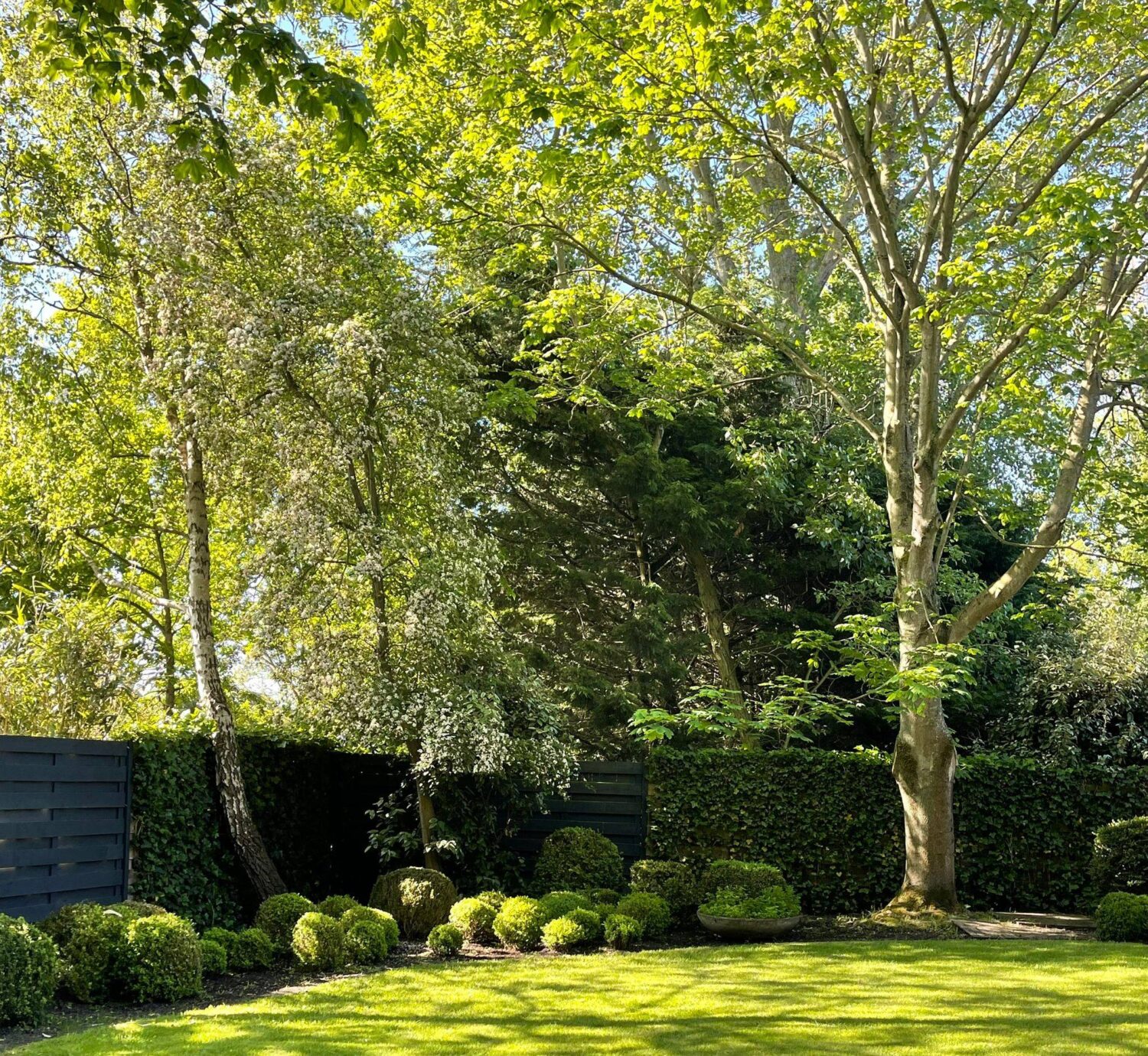 18_PHOTO-2025-11-29-19-05-22