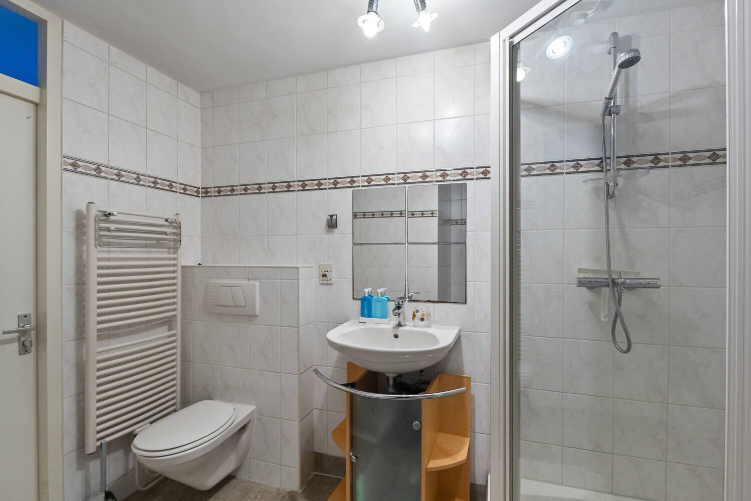 32_Meester J. Henderikxstraat 16 (32)