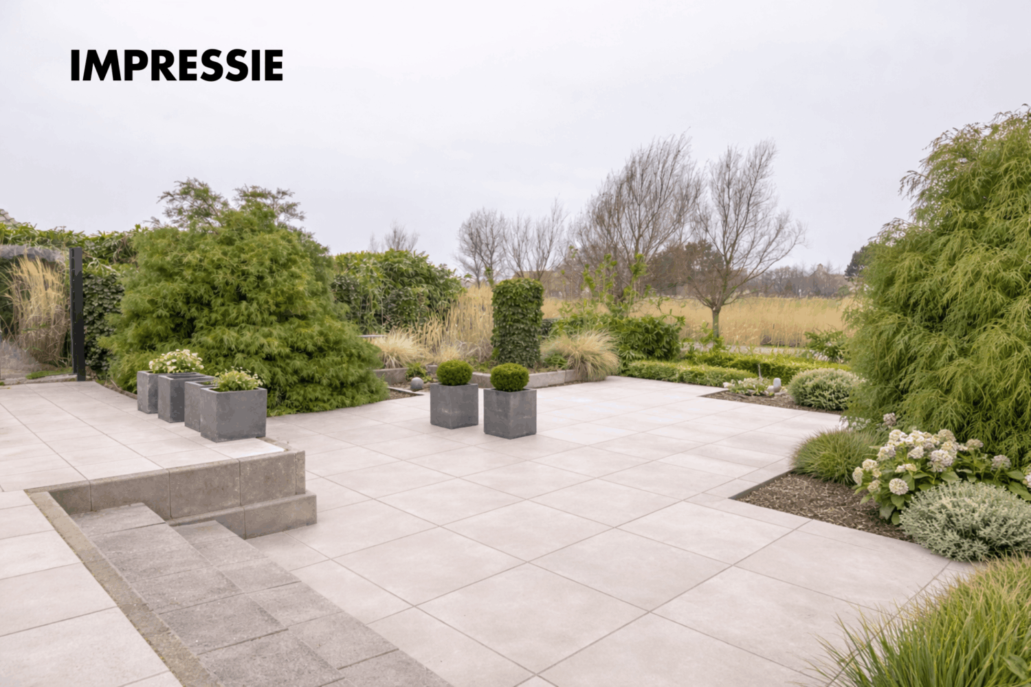 IMPRESSIE (6)